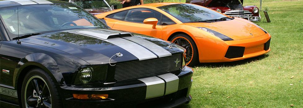 ford-shelby-gt