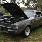 DSC_4147